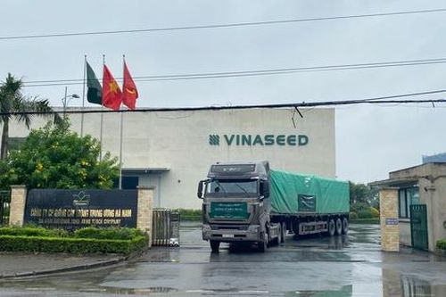 Tham vọng 'lập đỉnh' lợi nhuận của Vinaseed