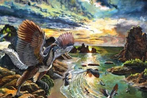 Khám phá hóa thạch 'điểu long' 150 triệu năm tuổi – quái vật cổ đại giữa chim và khủng long