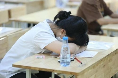 Lối rẽ nào cho thí sinh trượt lớp 10 công lập?