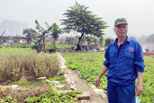 Dự án Công viên Chu Văn An: 'Lá phổi xanh' thành nơi tập kết rác