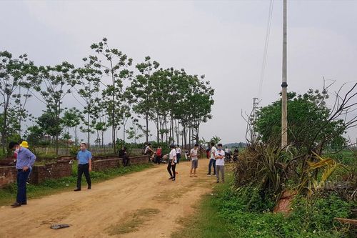 Nhiều địa phương cảnh báo hiện tượng sốt đất ảo