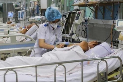 Thái Bình làm gì để khống chế dịch viêm não mô cầu?