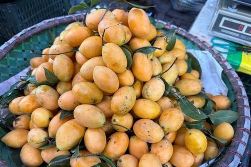 Quả thanh trà vào mùa, gây 'sốt' bởi mức giá siêu rẻ