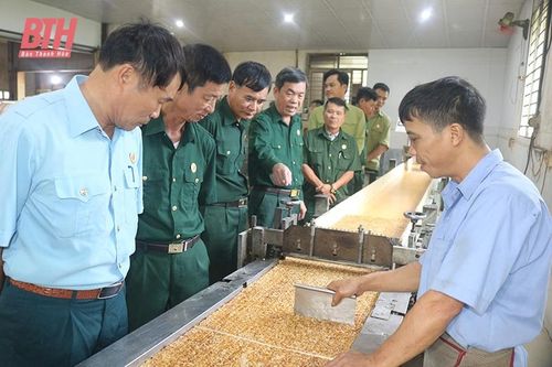 Những người lính 'xưa thắng giặc, nay thắng nghèo'