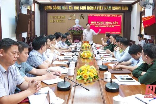 Niên vụ sắn năm 2025-2026 huyện Mường Lát duy trì diện tích 3.000 ha