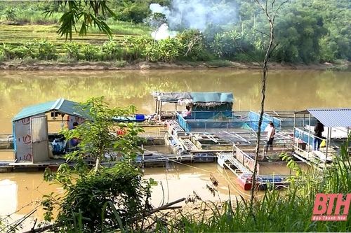 Nuôi cá lồng bè trên lòng hồ thủy điện Trung Xuân