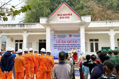 Tuổi trẻ Công ty Điện lực Thanh Hóa chung tay vì lưới điện an toàn và môi trường xanh