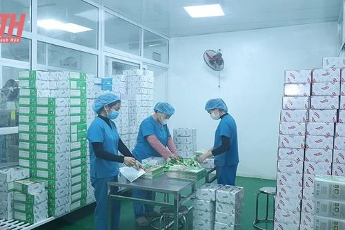 Sức lan tỏa từ DDCI