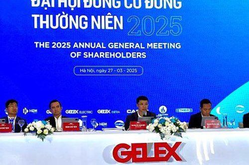 GELEX: Đầu tư vào ngân hàng Eximbank là chiến lược dài hạn, chưa có kế hoạch tăng sở hữu tại Viglacera và Thiết bị điện Đông Anh