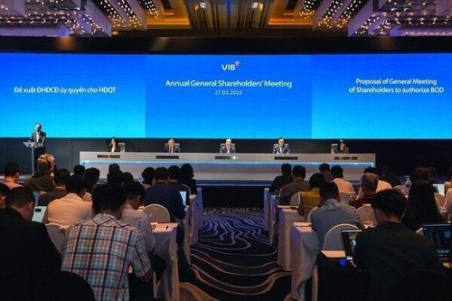 ĐHĐCĐ VIB: Lợi nhuận quý I ước 2.200 tỷ, tiêu chí tìm kiếm NĐT chiến lược không chỉ là mức giá