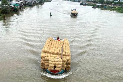 Nghề buôn rơm