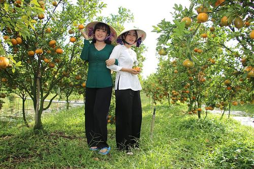 Phát triển du lịch gắn với quảng bá hình ảnh địa phương