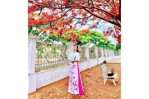 Khung trời mùa hạ