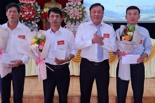 Công ty Cà phê 706 phấn đấu đạt năng suất 14,2 tấn tươi/ha
