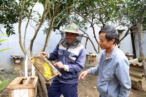 Bản Sơn Hà vươn lên