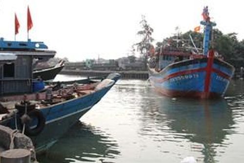 Chủ động ứng phó với không khí lạnh, gió mạnh trên biển