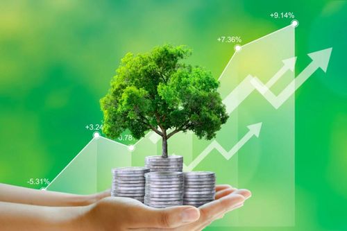 Tiêu chí môi trường nằm trong Danh mục phân loại xanh