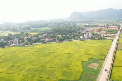 Ninh Bình thu hồi hơn 216 ha đất của 11 dự án chậm tiến độ