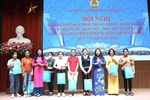 Biểu dương điển hình phong trào thi đua 'Giỏi việc nước - Đảm việc nhà