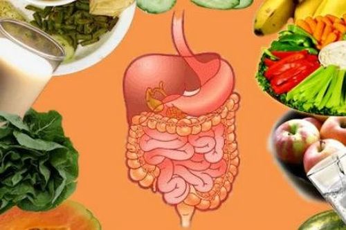 Những thực phẩm có lợi cho hệ tiêu hóa