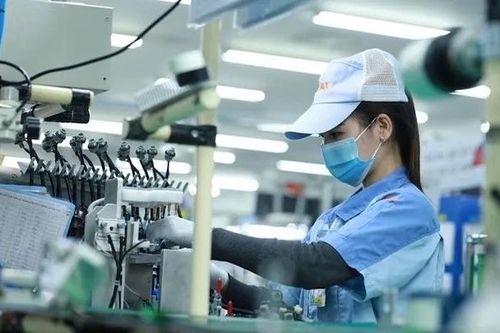 'Cơn lốc' thuế quan từ Mỹ: Việt Nam làm gì để giữ chân doanh nghiệp FDI?