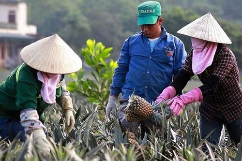 Hiểu hơn về Ngày Quốc tế HTX và Năm Quốc tế HTX