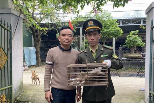 Ngăn chặn hành vi săn lùng, tận diệt động vật hoang dã làm thức ăn và làm thuốc