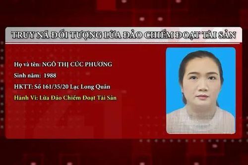 Truy nã đối tượng lừa đảo chiếm đoạt tài sản