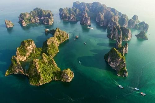 Thú vị các hoạt động tham quan, du lịch vịnh Bái Tử Long