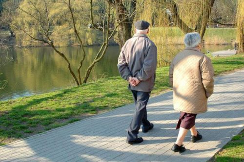 Số bước người sau 60 tuổi nên đi mỗi ngày để có sức khỏe dẻo dai