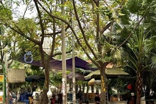 Huyện Thanh Trì: Vỉa hè đường Kim Giang bị chiếm dụng