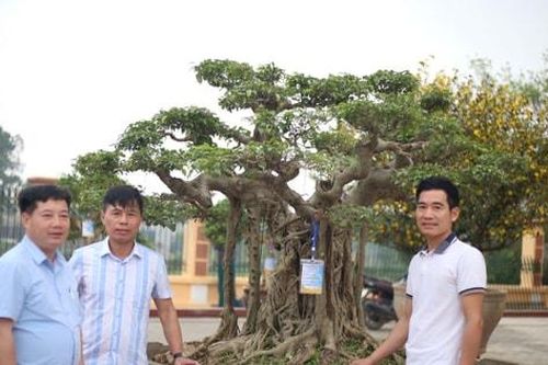 Xây dựng quê hương Đồng Trúc ngày càng giàu đẹp, văn minh