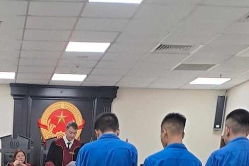 Nhóm cướp chuyên nhắm người đồng tính lĩnh án