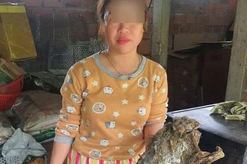 Khởi tố người phụ nữ mua động vật quý hiếm giấu vào tủ đông lạnh