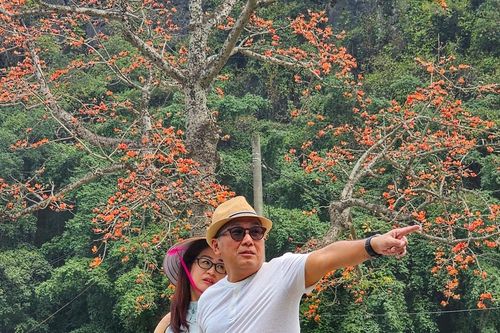 Hoa gạo rực đỏ trước ngôi chùa 600 năm tuổi