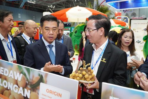 Nhiều nước 'mạnh tay' siết điều kiện xuất khẩu xanh