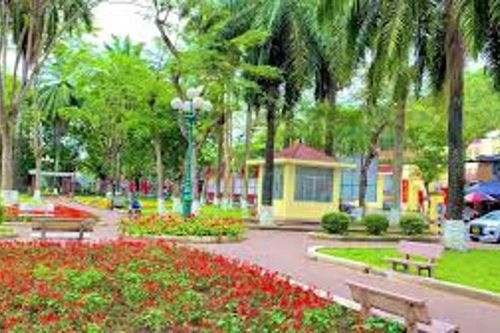 Lên phương án cưỡng chế thu hồi đất dự án vườn hoa hồ Hạnh Phúc