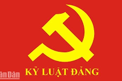 Kiên Giang: Cảnh cáo Phó Chủ tịch Ủy ban nhân dân huyện Giang Thành do kê khai tài sản không trung thực