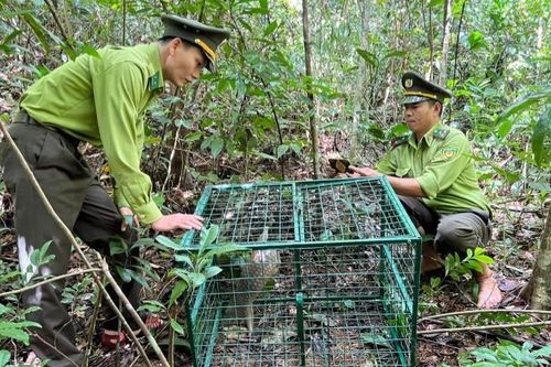 Ủy ban nhân dân thành phố Huế chỉ đạo xử lý việc cán bộ kiểm lâm bị trễ lương 3 tháng