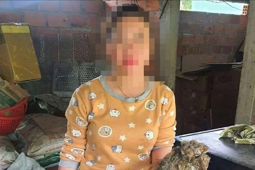 Khởi tố đối tượng thu mua 5 cá thể rắn hổ chúa, chồn bay