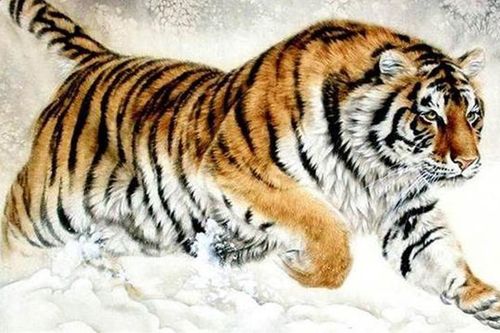 2 ngày cuối tháng 3: 3 con giáp phát tài, tiền về tíu tít