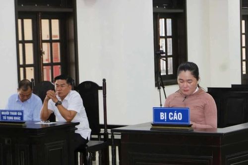 Nữ kế toán trường tiểu học ở Bạc Liêu tham ô hơn 656 triệu đồng