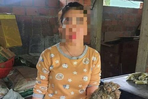 Bị khởi tố vì cất rắn hổ mang chúa, chồn bay trong tủ lạnh