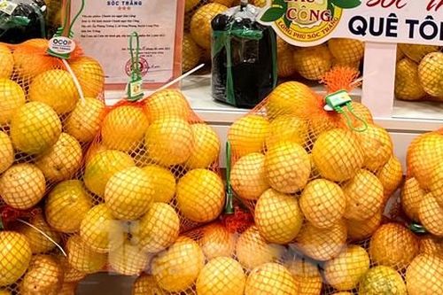 Chanh leo độc lạ giá cao chót vót vẫn không có mà bán