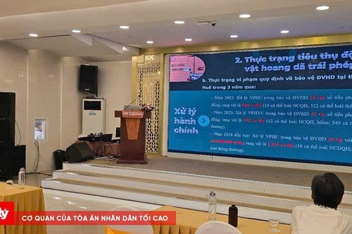 Đại học Huế hội thảo dược liệu thay thế động vật hoang dã