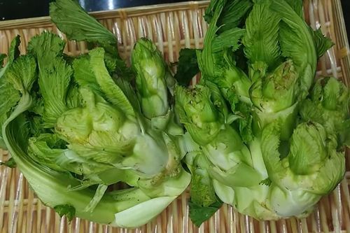 Đặc sản Tây Bắc tưởng chỉ có trong truyện, trời càng lạnh ăn càng ngọt, ngon