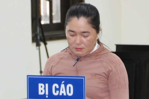 Nữ kế toán chiếm đoạt 650 triệu đồng tiền BHYT của học sinh để trả nợ xây nhà