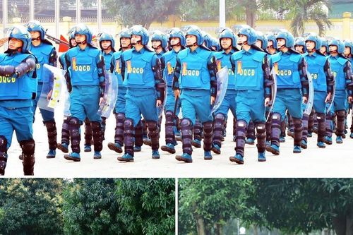 Lực lượng nòng cốt trong xây dựng và bảo vệ Tổ quốc