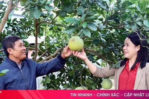 Nữ Bí thư chi bộ tận tâm vì sự phát triển của tổ dân phố