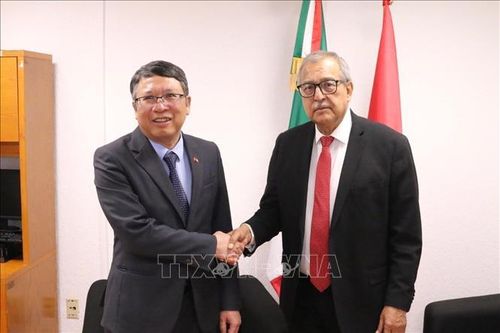 50 năm quan hệ Việt Nam - Mexico: Còn nhiều dư địa phát triển